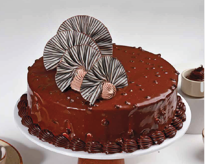 Chocolate cake with chocolate shards and cream decoration.